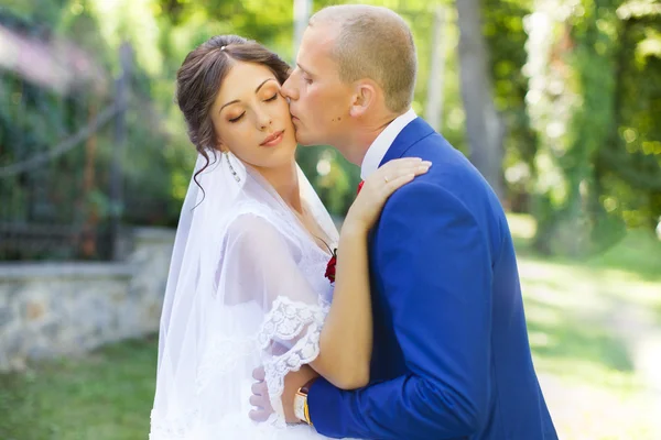 Brudgummen kysser bruden på kinden — Stockfoto