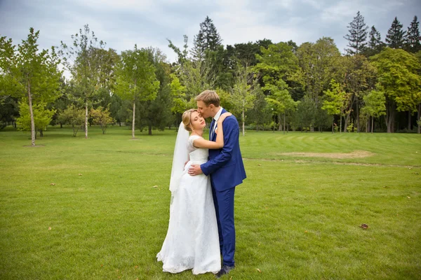 Nygifta på bröllopsfoto skjuta i landet — Stockfoto