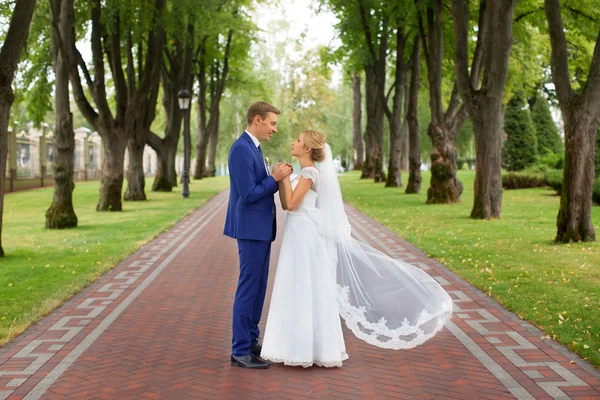 Recién casados en la sesión de fotos de boda en el país — Foto de Stock