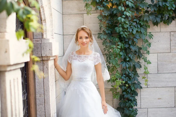 Mladá krásná nevěsta na její svatební den — Stock fotografie