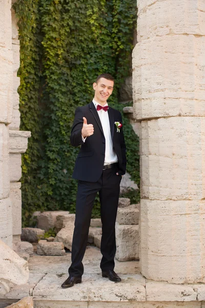 Damat bir kravat ve gülümsüyor tutar. Damat Düğün günü parkta portresi. Zengin düğün gününde damat