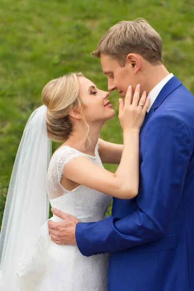 Jonggehuwden op de bruiloft foto schieten in het land — Stockfoto