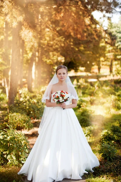 Ritratto di una bella bionda — Foto Stock