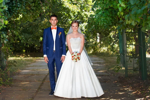 Casamento. Recém-casados ao ar livre. A posar noiva e noivo. Dia ensolarado . — Fotografia de Stock