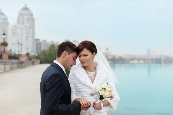 Gentle embrace bride and groom — Stock Photo, Image