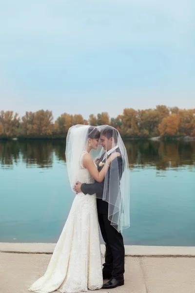 Gentil abraçar noiva e noivo — Fotografia de Stock