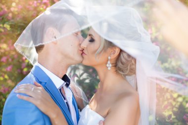 Güneşli bir günde düğün yeni evliler öp