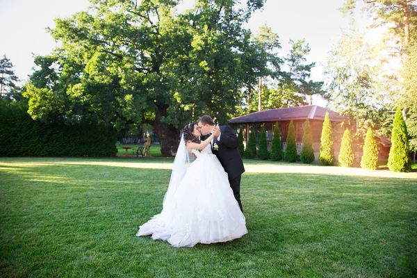 Recién casados bailando en el prado —  Fotos de Stock