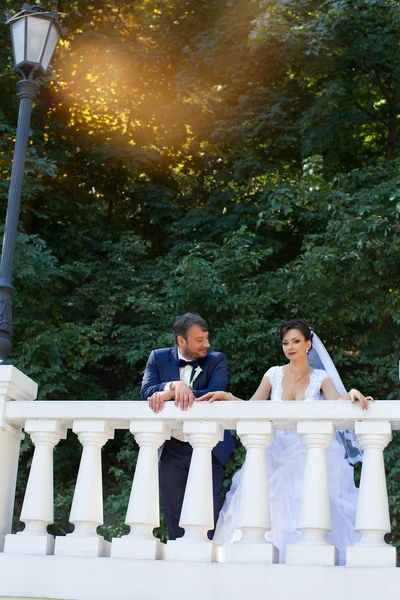 Sposo in camicia bianca baciare la mano della sposa. Foto molto gentile — Foto Stock