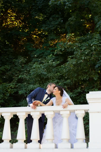 Brudgummen i vit skjorta kyssa bruden hand. Mycket mild Foto — Stockfoto