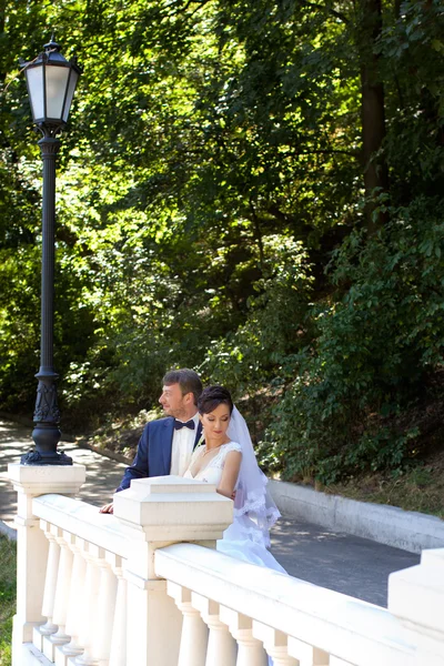 Sposo in camicia bianca baciare la mano della sposa. Foto molto gentile — Foto Stock