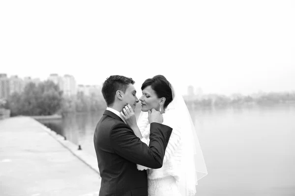 Gentil abraçar noiva e noivo — Fotografia de Stock