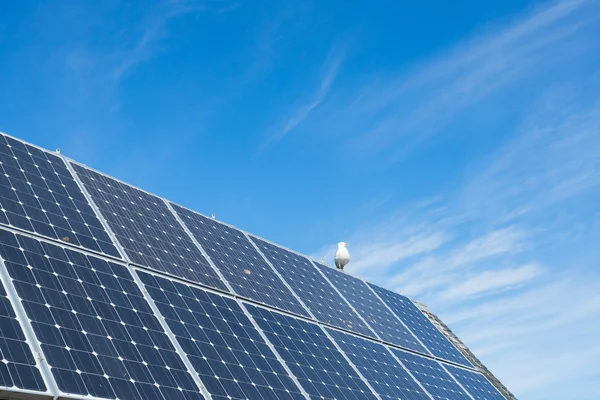Солнечные Батареи Крыше Дома Зеленая Энергия — стоковое фото