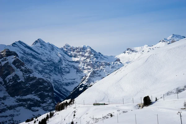 Schweizer Berge, Dschungel, Schweiz, Skigebiet — Stockfoto