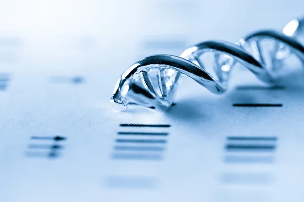 DNA, moleculaire lab test — Stockfoto