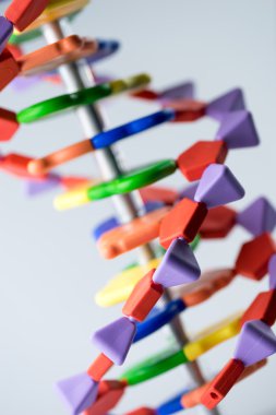 Bilim Araştırma Laboratuvarı moleküler, Dna ve atom modeli