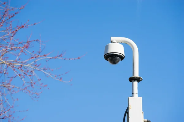 Caméra de sécurité CCTV extérieure — Photo