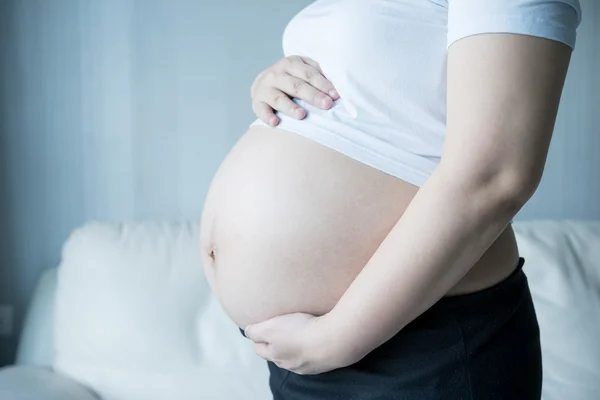 Mujer Embarazada Con Imagen Ecografía — Foto de Stock
