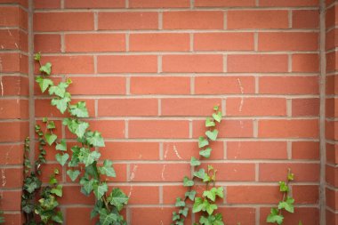 Adobe tuğla duvar arka planda İngiltere hom