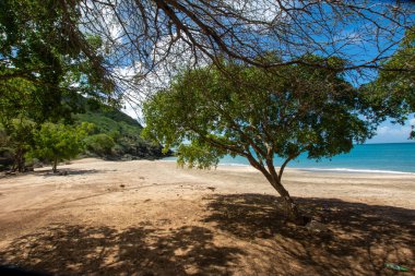 Çarpıcı geniş açılı manzara kurak dağlarla çevrili turkuaz bir koy ve bulutlu bir gökyüzünün altında yemyeşil bir bitki örtüsü gösteriyor. Margarita Adası, Venezuela 'da yakalandı..