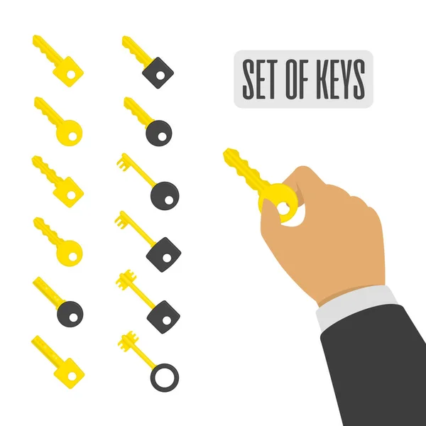 Векторный набор ключей. — стоковый вектор