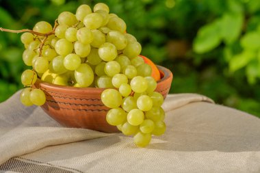 Doğal zemin üzerine bir kil kase taze sulu meyve. Üzüm.