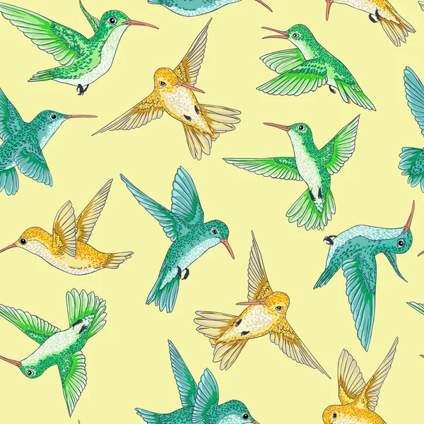 Sorunsuz küçük cennet kuşları konuşma desen çok renkli uçan vektör — Stok Vektör