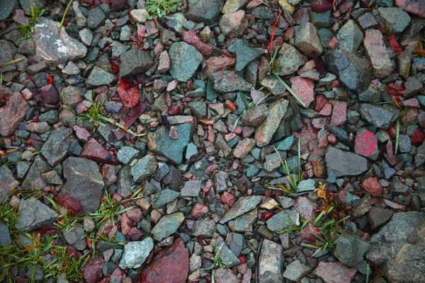 Colored wild stones — Stock Photo, Image