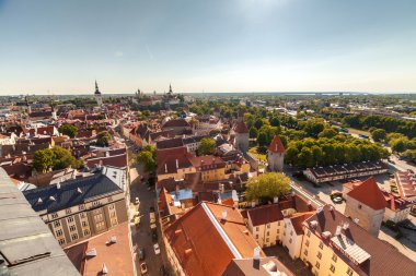Estonya, Tallinn - 25 Mayıs 2016: Tallinn tarihi bölümü panoramik manzara