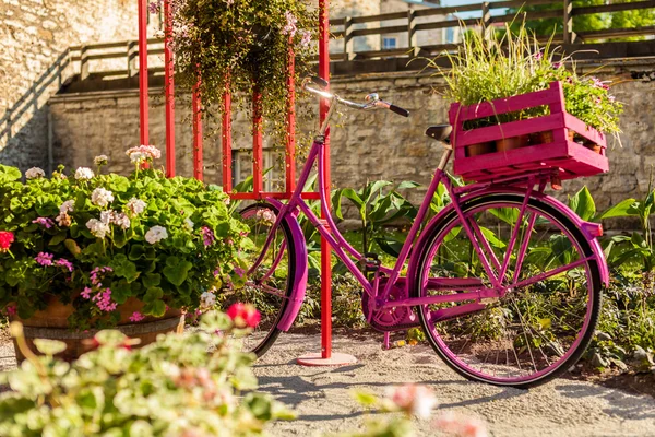 Pink cykel parkerad i blommande trädgård Royaltyfria Stockfoton