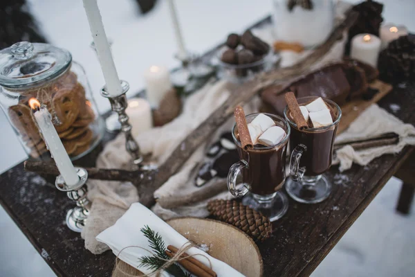 Winter romantic picnic in forest. Hot cocoa with marshmallows — Stock Photo, Image