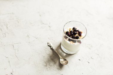 Cam 0f Yoğurtlu müsli ve siyah kuş üzümü