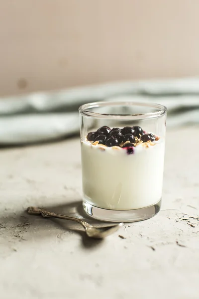 Skla 0f jogurt s müsli a černý rybíz — Stock fotografie