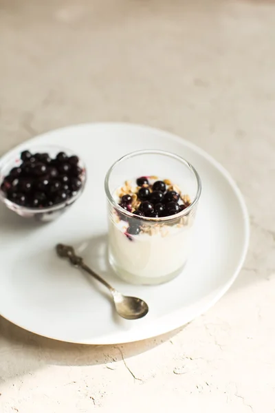 Skla 0f jogurt s müsli a černý rybíz — Stock fotografie