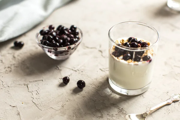 Yogur de vidrio con muesli y grosellas negras — Foto de Stock