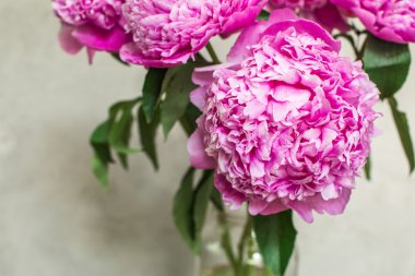 Cam vazo içinde yemyeşil pembe peonies