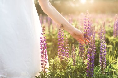 güzel bir genç kadın çiçek alanı