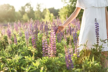 güzel bir genç kadın çiçek alanı