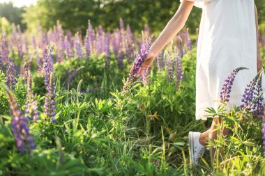 güzel bir genç kadın çiçek alanı