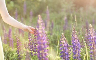 çiçek sarı elbiseli güzel genç kadın