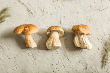 Tablo taze beyaz mantar