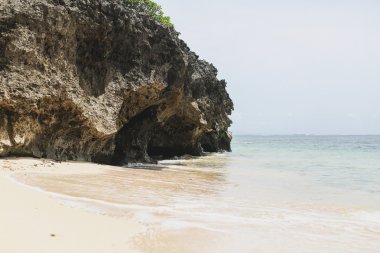 Bali tropikal peyzaj