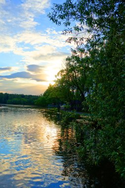 Nehri boyunca ağaçlar.
