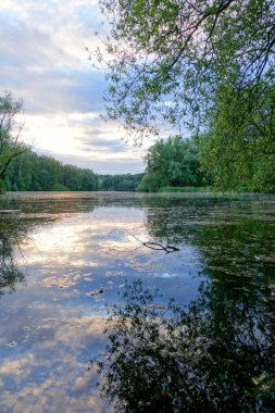 Nehirde gün batımı