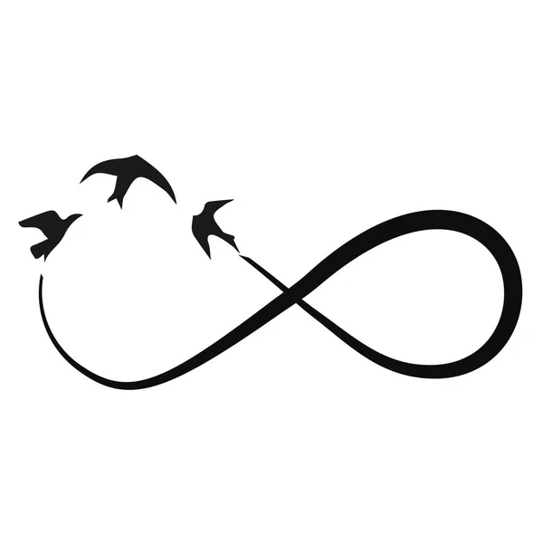 Elegant Infinity Sign Flying Birds Vector Illustration — Stock Vector