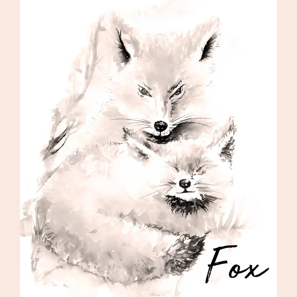 Vintage Handgezeichnete Fuchs Aquarellillustration — Stockfoto