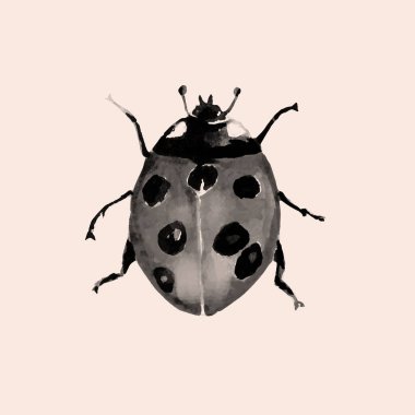 El yapımı uğur böceği suluboya resim çizimi.