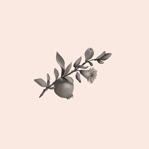 Illustration Pomegranate Fruit Branch — Stock Photo, Image