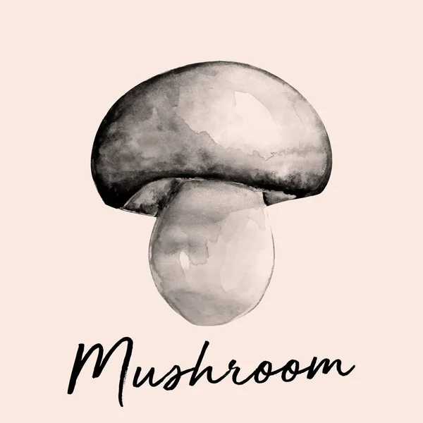 Vintage Dessiné Main Champignon Aquarelle Illustration Art — Photo