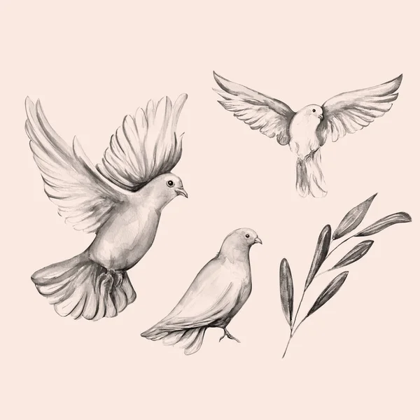 平和鳥 アート 水彩画 — ストック写真